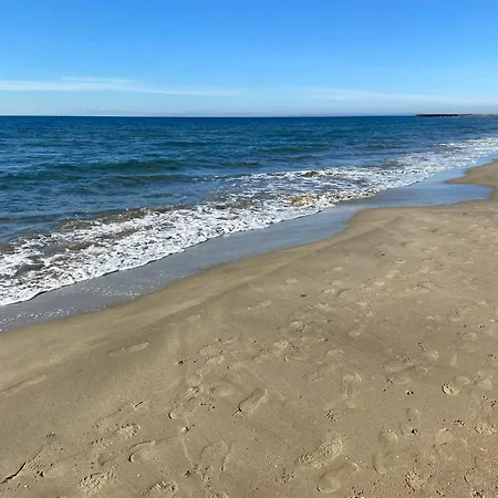 Capfamille 阿格德